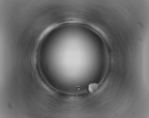 X0000114511375200910191124