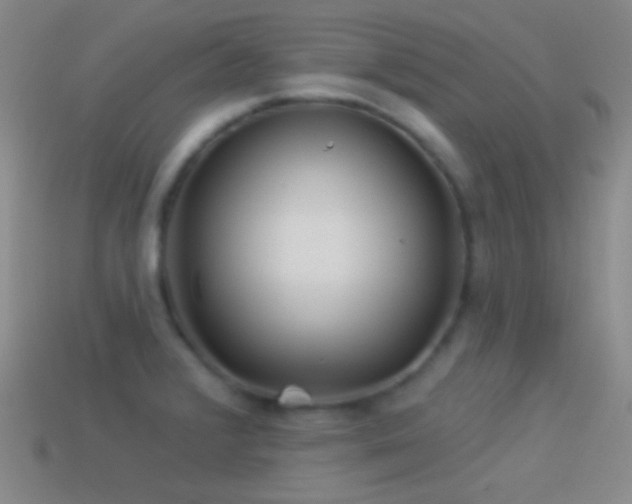 X0000114511376200910191124