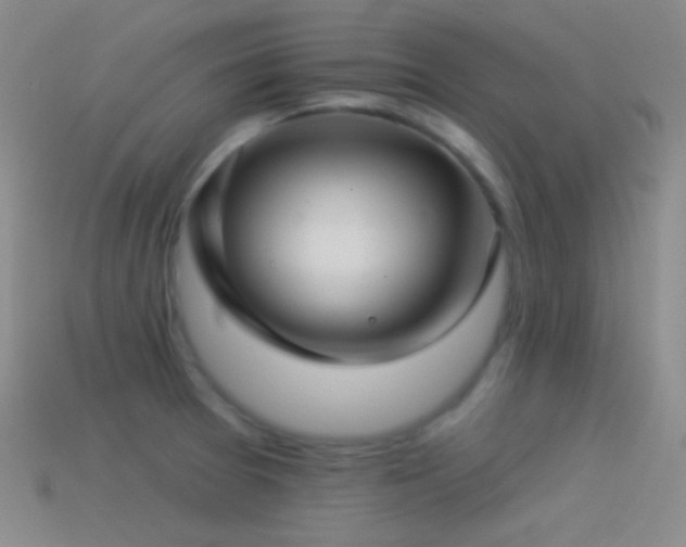 X0000114511377200910191124