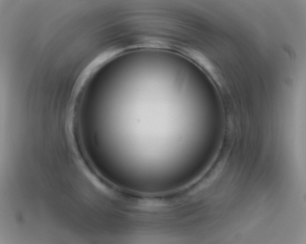 X0000114511379200910191124