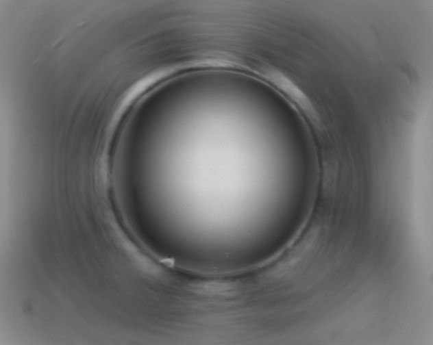 X0000114511380200910191124