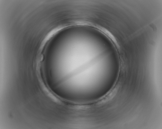 X0000114511381200910191124
