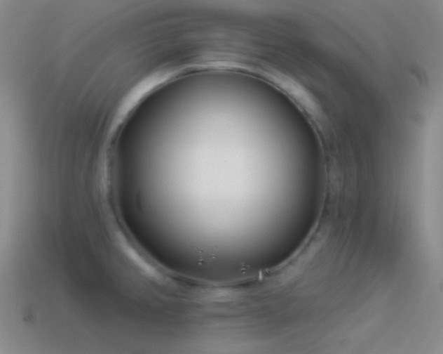 X0000114511382200910191124