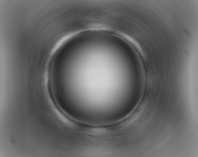 X0000114511383200910191123