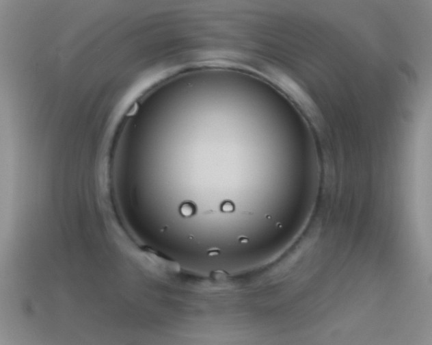 X0000114511384200910191123