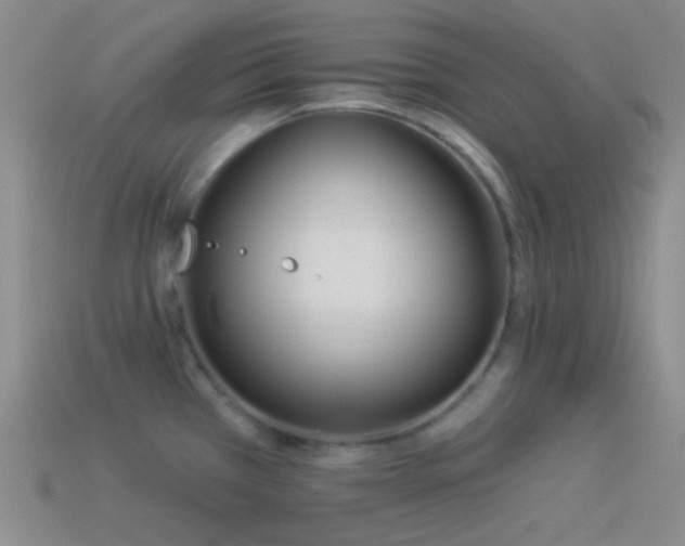X0000114511385200910191123