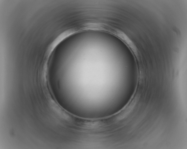 X0000114511386200910191123