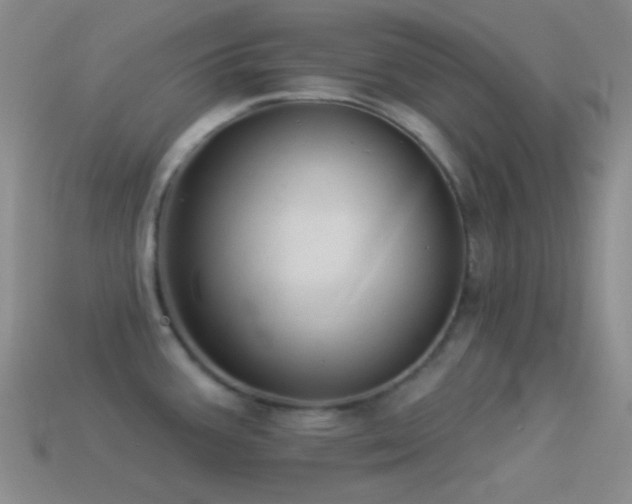 X0000114511387200910191123