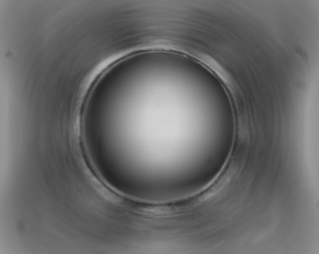 X0000114511388200910191123