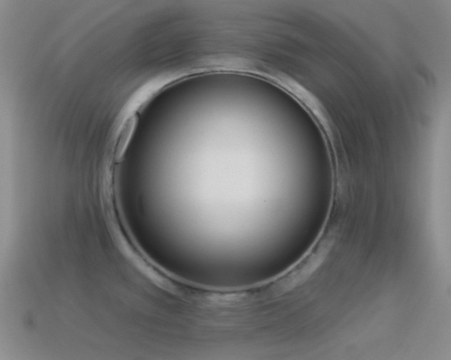 X0000114511389200910191123