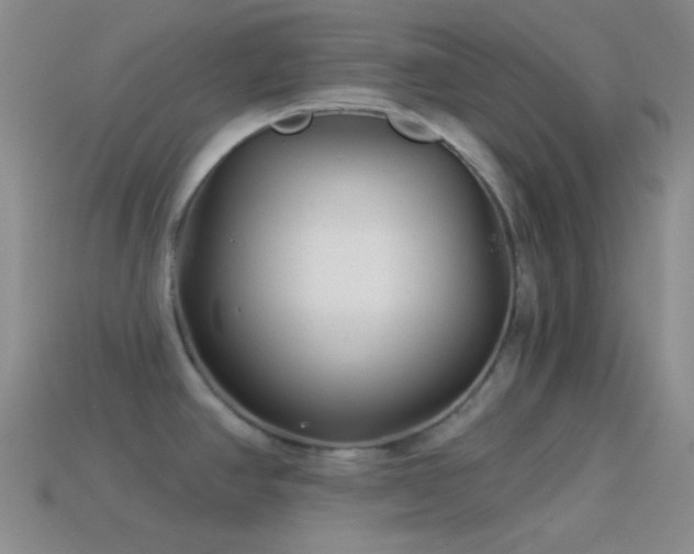 X0000114511390200910191123