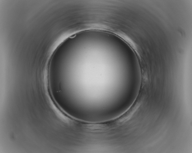 X0000114511391200910191123