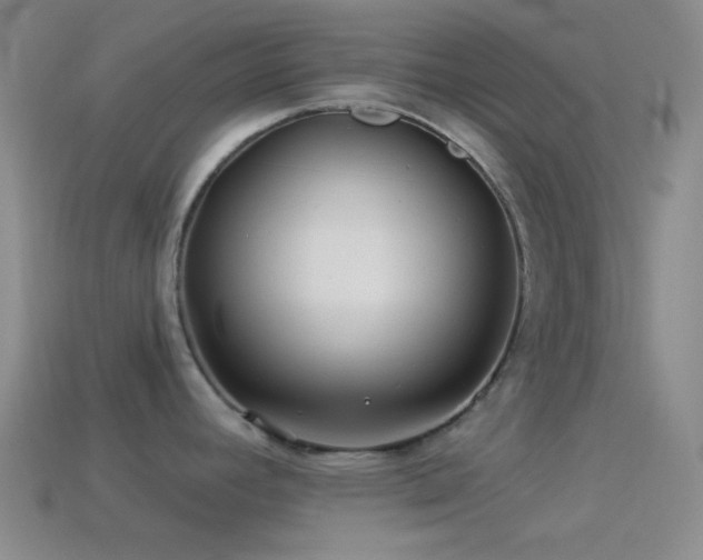 X0000114511392200910191123