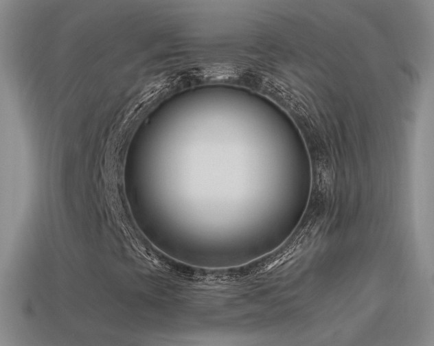 X0000114511393200910191123