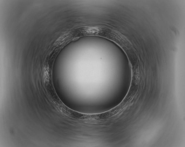 X0000114511394200910191123