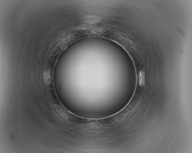 X0000114511395200910191123
