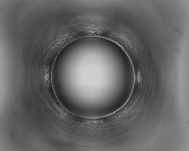 X0000114511396200910191123