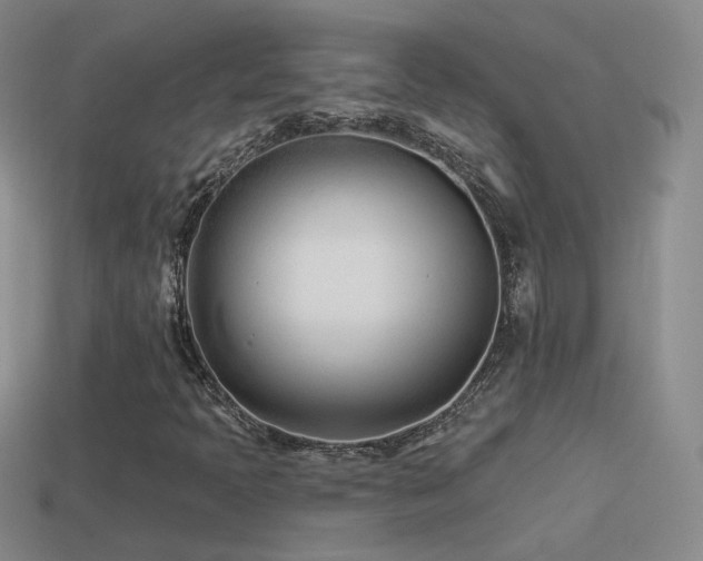X0000114511397200910191123