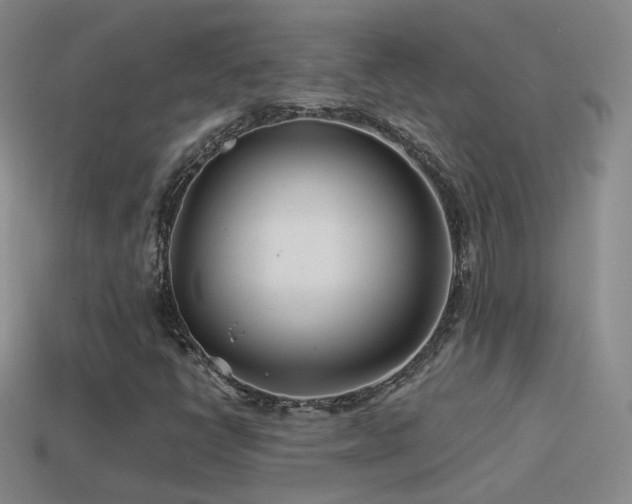 X0000114511398200910191123