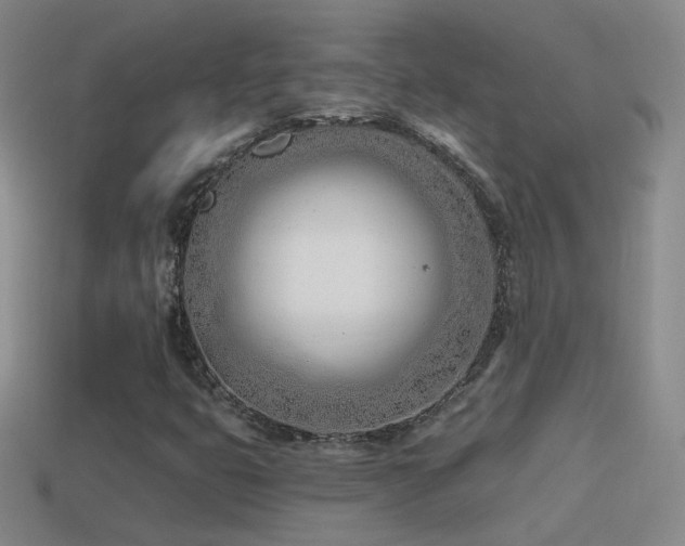 X0000114511399200910191123