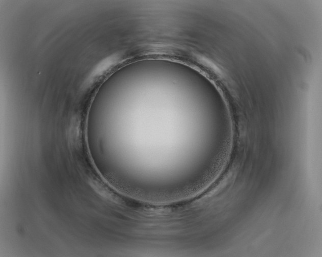 X0000114511403200910191123