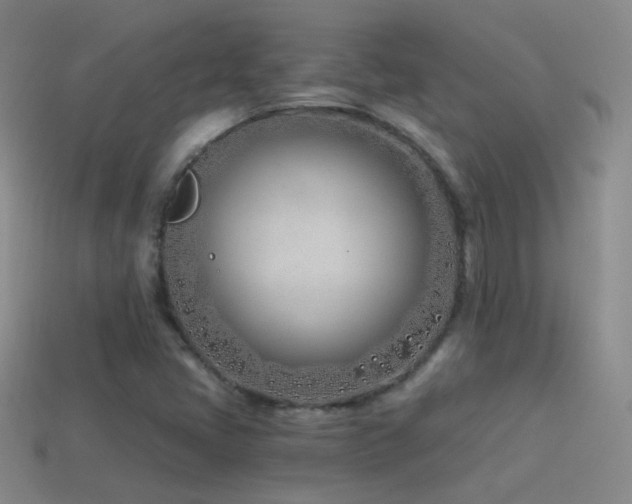 X0000114511405200910191123
