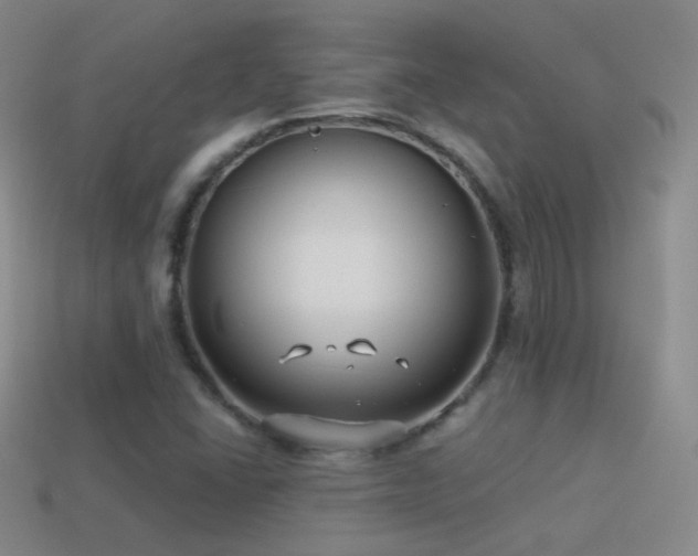 X0000114511406200910191123