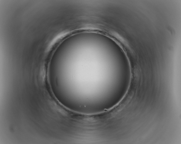X0000114511408200910191123
