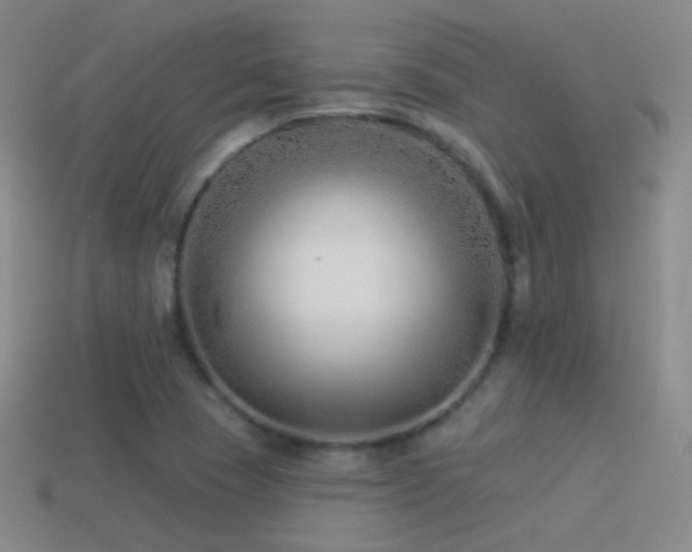 X0000114511409200910191123