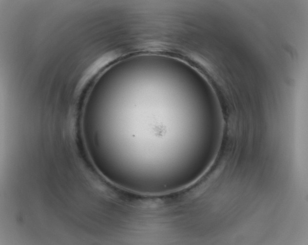 X0000114511410200910191123