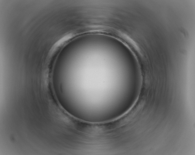 X0000114511411200910191123
