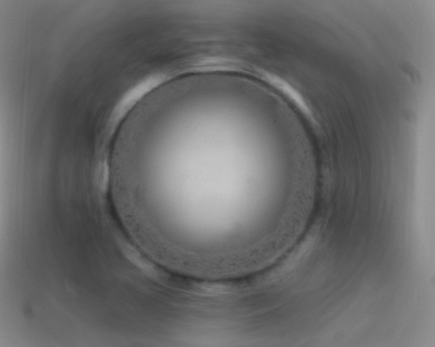 X0000114511413200910191123