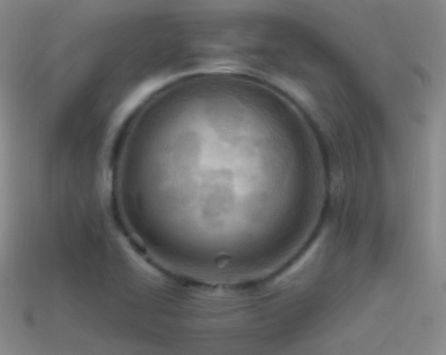 X0000114511414200910191123