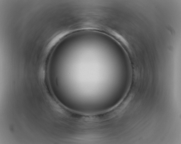 X0000114511415200910191123