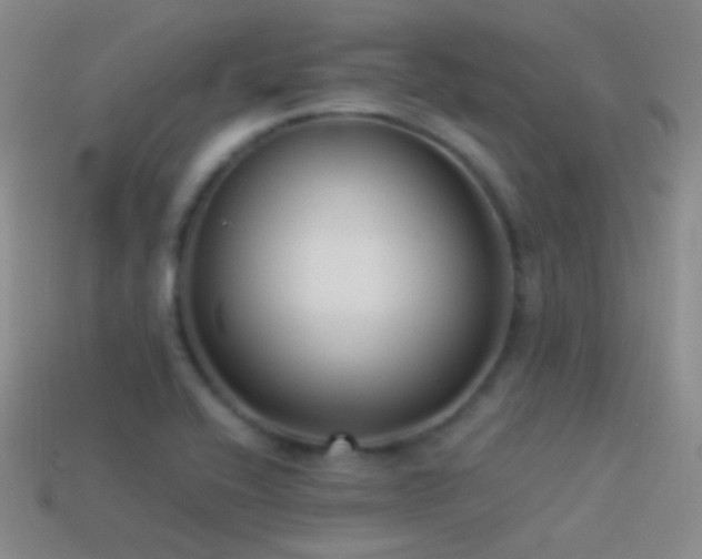 X0000114511416200910191123