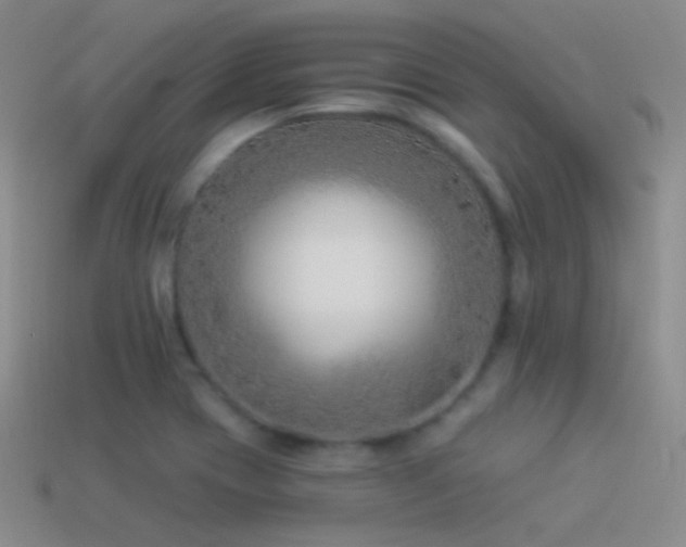 X0000114511417200910191123