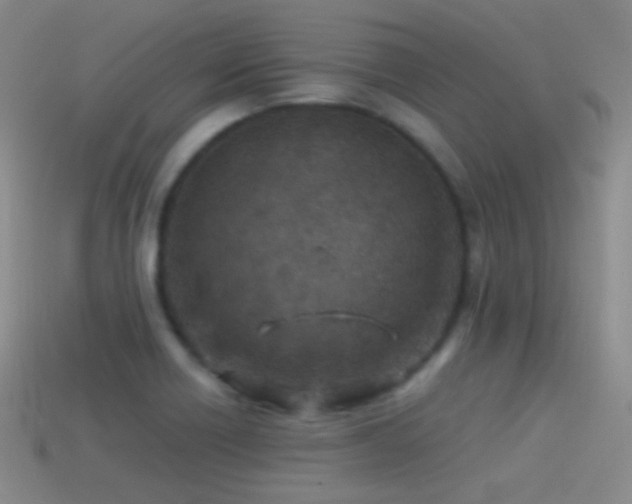 X0000114511418200910191123