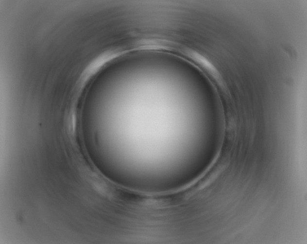 X0000114511419200910191123