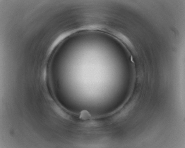 X0000114511420200910191123