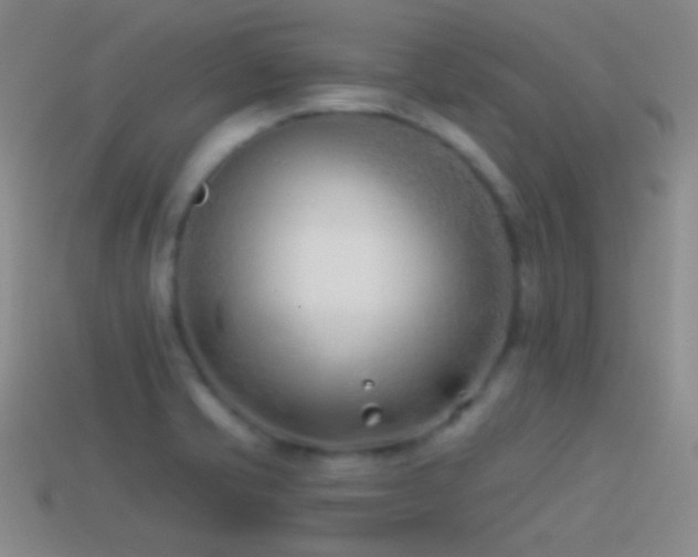 X0000114511421200910191123