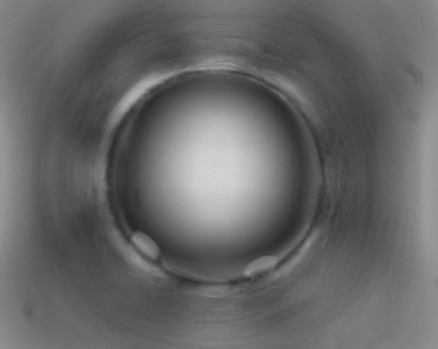 X0000114511422200910191123
