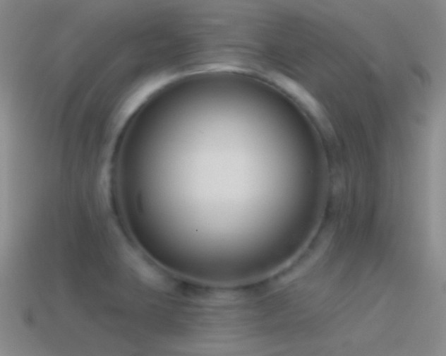 X0000114511423200910191123