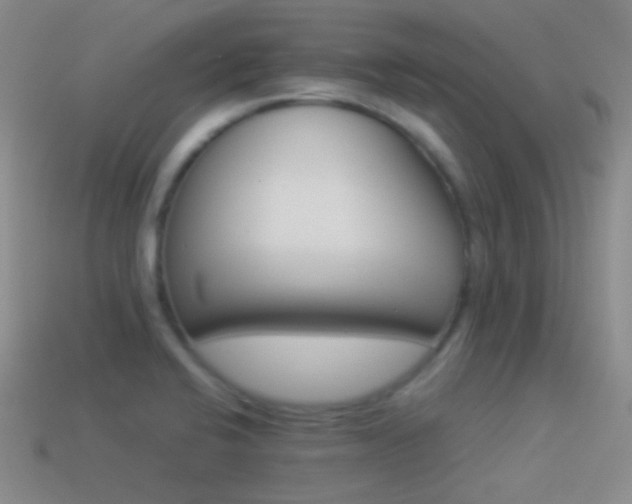 X0000114511424200910191123