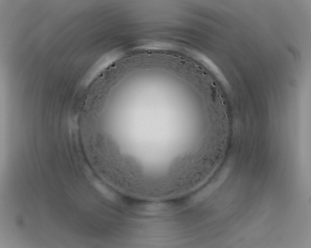X0000114511425200910191123