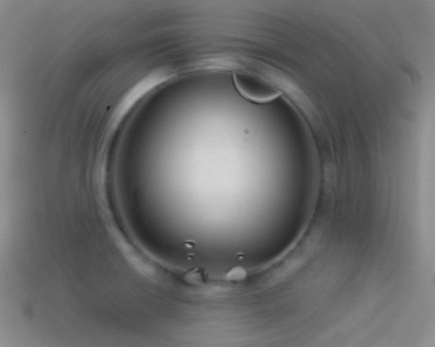 X0000114511426200910191123