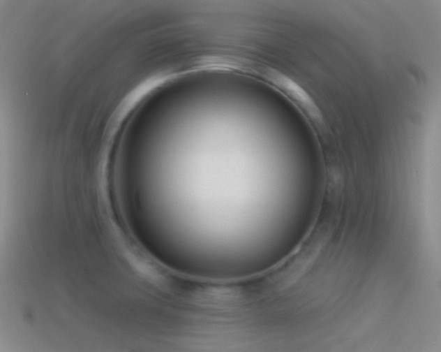 X0000114511427200910191123