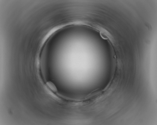 X0000114511428200910191123