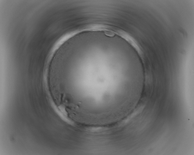 X0000114511429200910191123