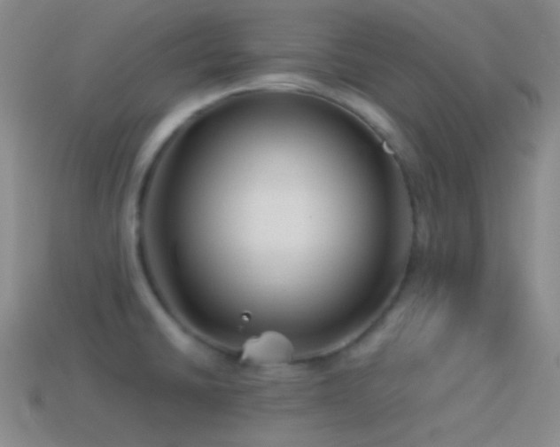 X0000114511430200910191123