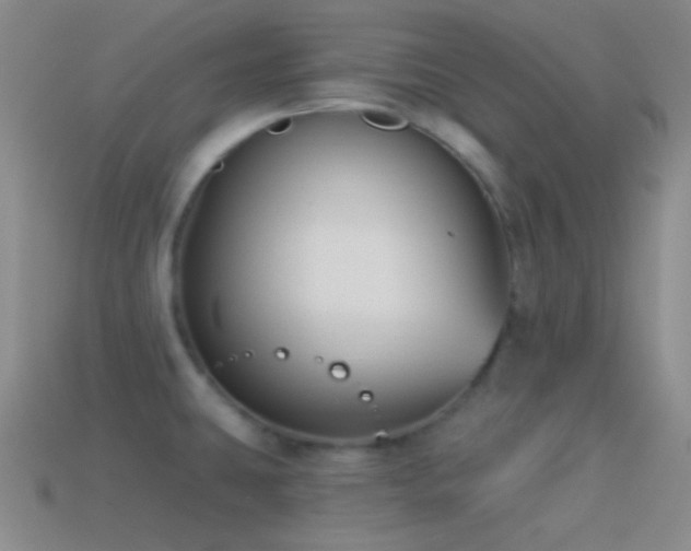X0000114511431200910191123